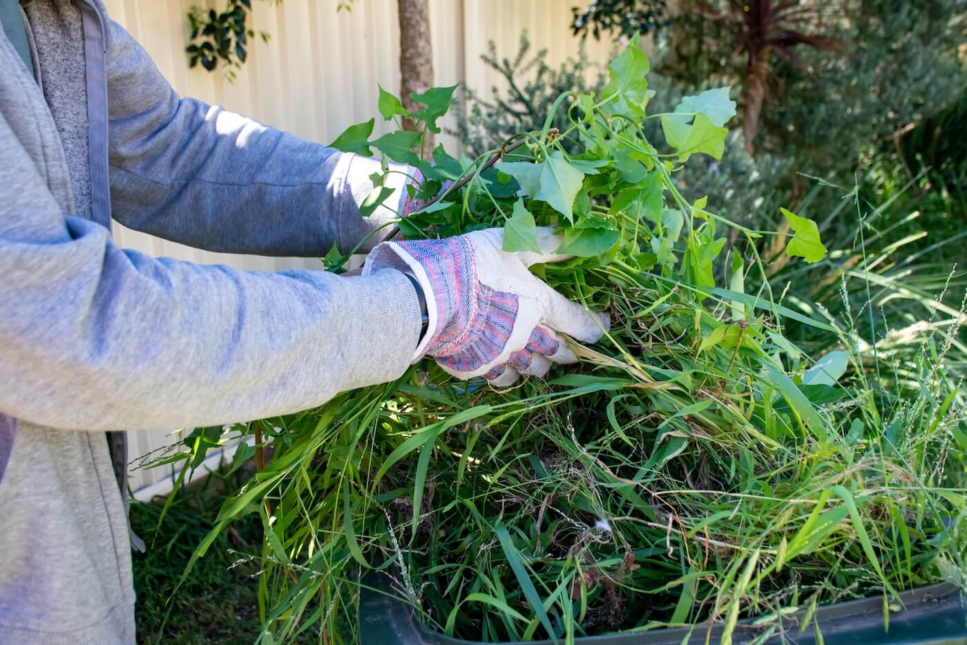 green waste removal